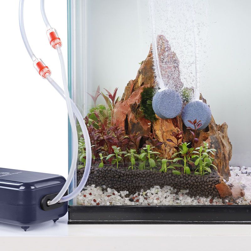 What Does an Air Pump Do in Aquarium - hygger