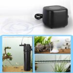 Dual outlet air pump