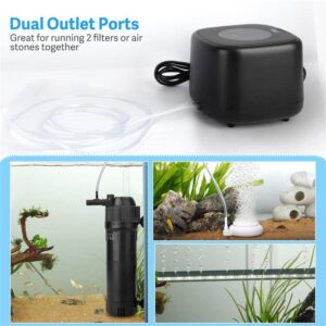 Dual outlet air pump