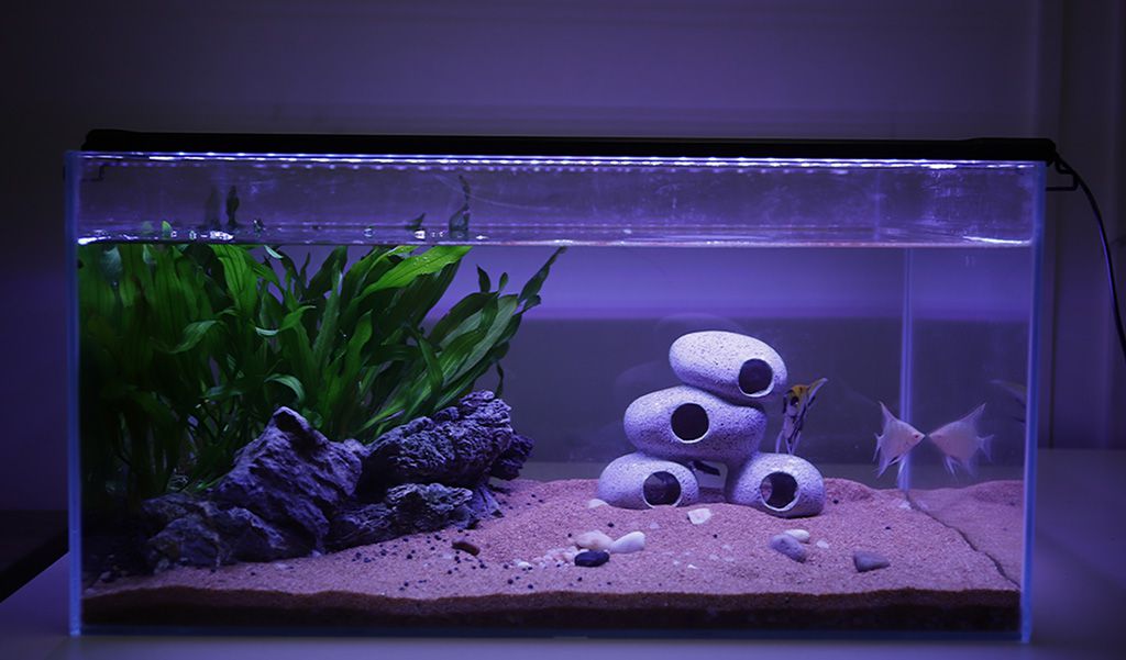 aquarium light basic setting