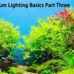 Aquarium Lighting Basics Part Three