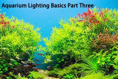 Aquarium Lighting Basics Part Three