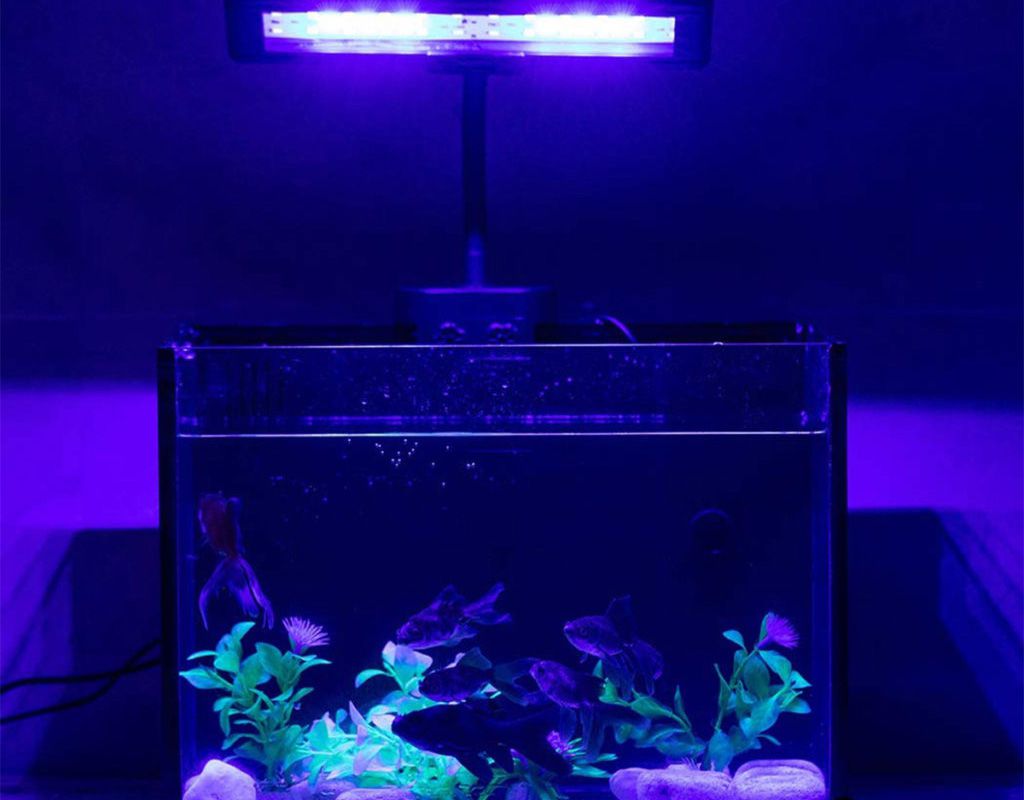 light to grow plants