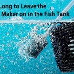How Long to Leave the Wave Maker on in the Fish Tank