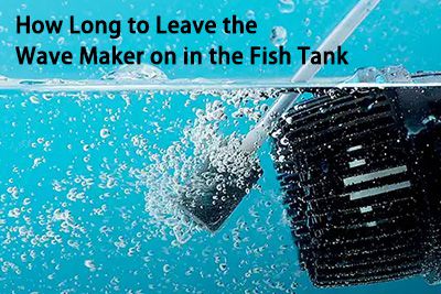 the time to leave the wave maker on