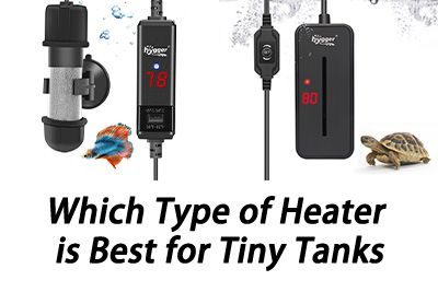 Which Type of Heater is Best for Tiny Tanks