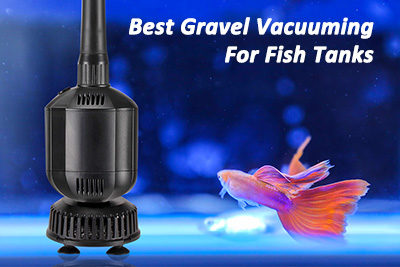 Best Gravel Vacuuming For Fish Tanks