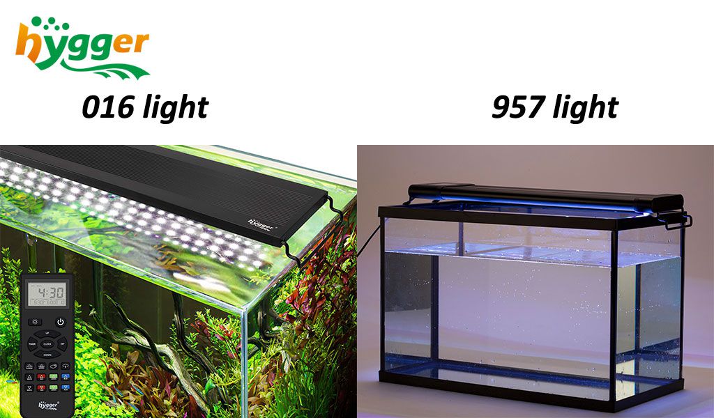 comparison hygger light