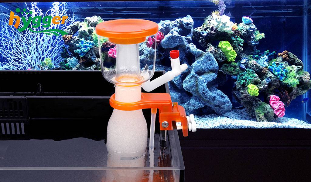 Is a Protein Skimmer Necessary for Marine Aquarium - hygger