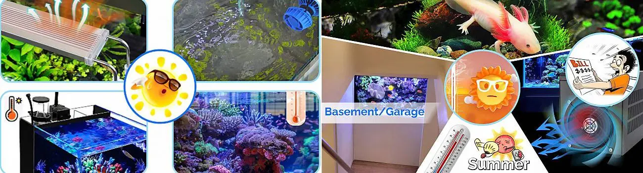 Aquarium chiller using scenes