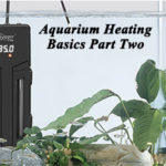 Aquarium Heating Basics Part Two