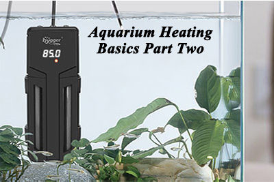 Aquarium Heating Basics Part Two