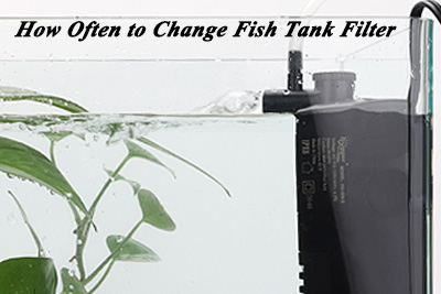 change fish tank filter