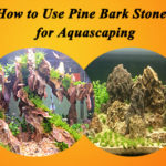 How to Use Pine Bark Stones for Aquascaping