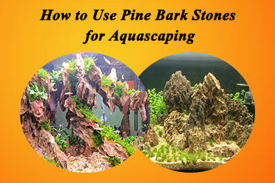 How to Use Pine Bark Stones for Aquascaping