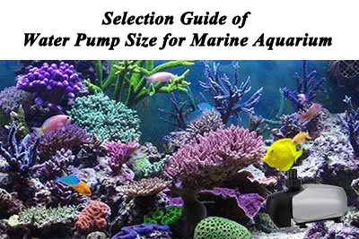selection marine water pump