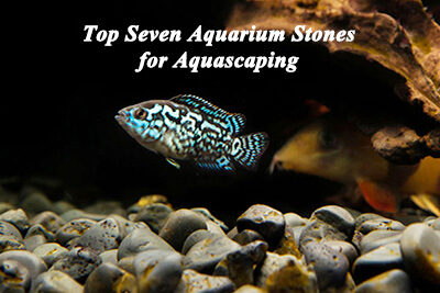 Top Seven Aquarium Stones for Aquascaping