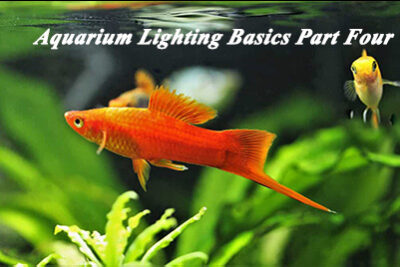 Aquarium Lighting Basics Part Four