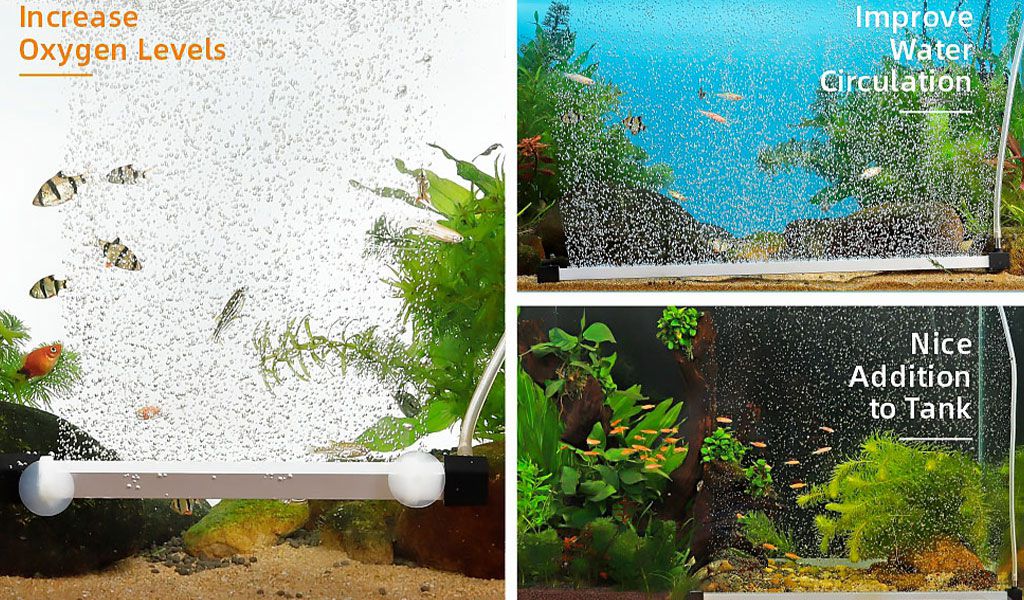 air bubble curtain in fish tank