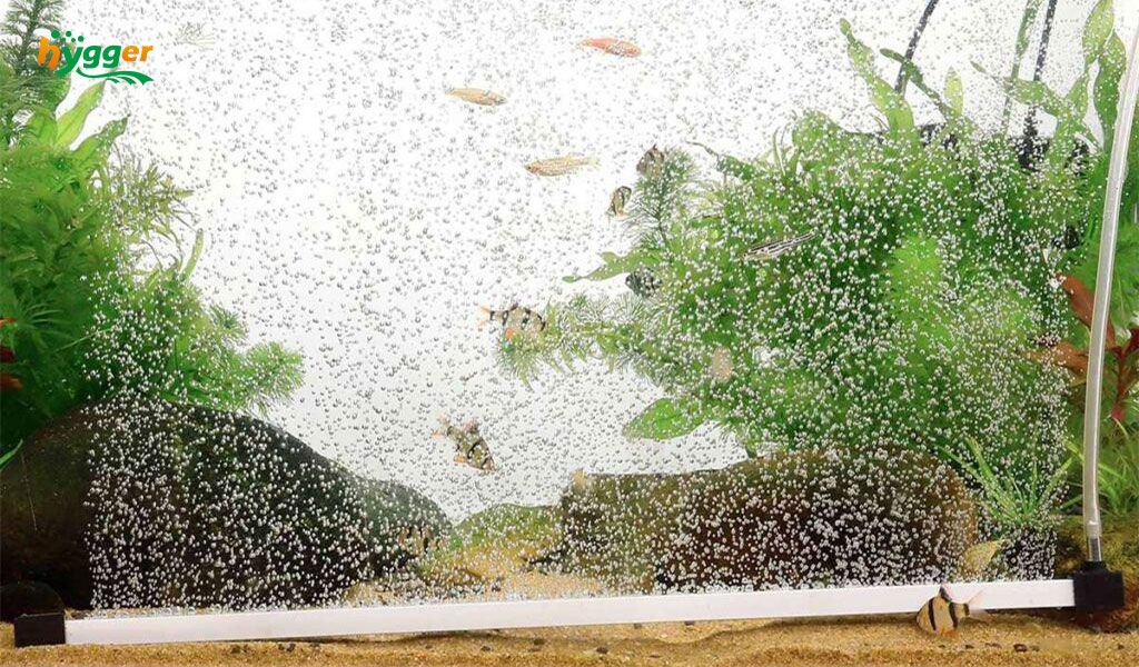 Aquarium air curtain bubble wall outlet