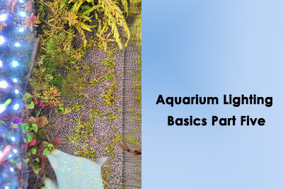 Aquarium Lighting Basics Part Five