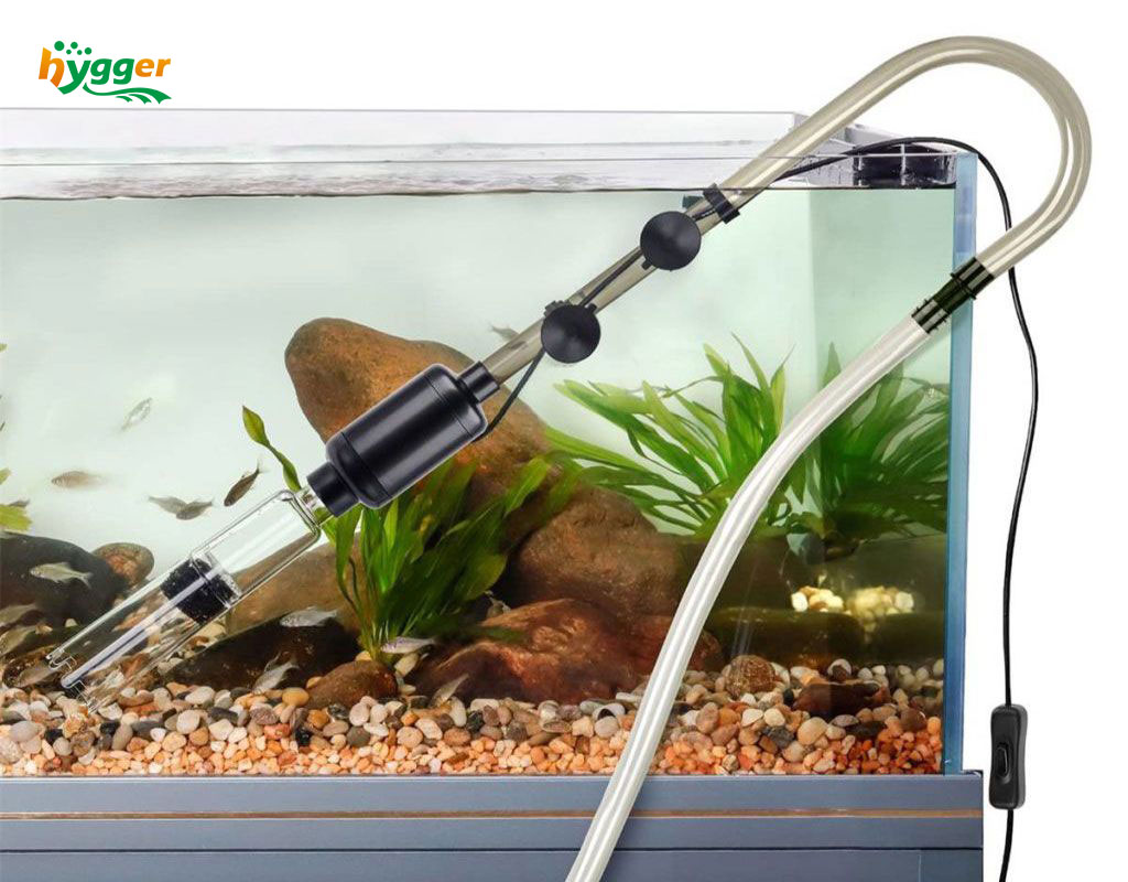 how to clean aquarium sand