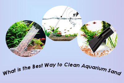 What is the Best Way to Clean Aquarium Sand