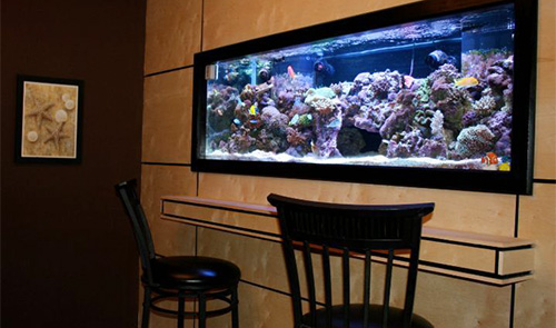 Built-in wall aquarium