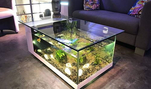 Coffee table aquarium