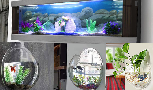 Wall mounted aquarium