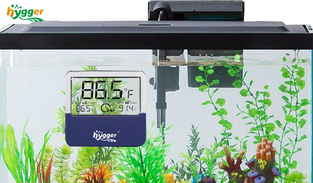 hygger LCD thermometer