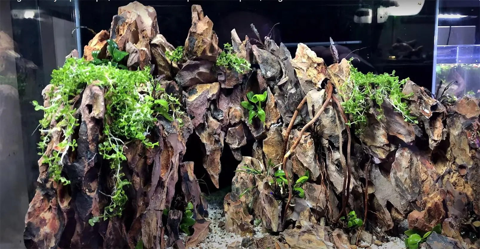 power filter for dragon valley aquascape