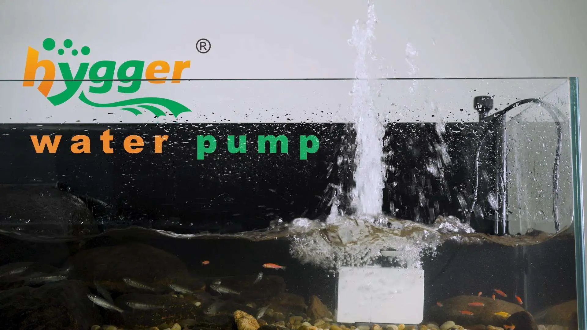 hygger 077 water pump video show