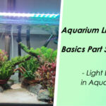 Aquarium Lighting Basics Part Six