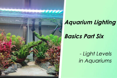 Aquarium Lighting Basics Part Six