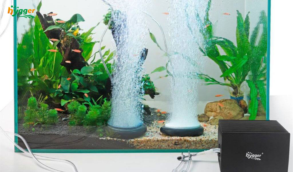 Continuous aerate air in fish tank