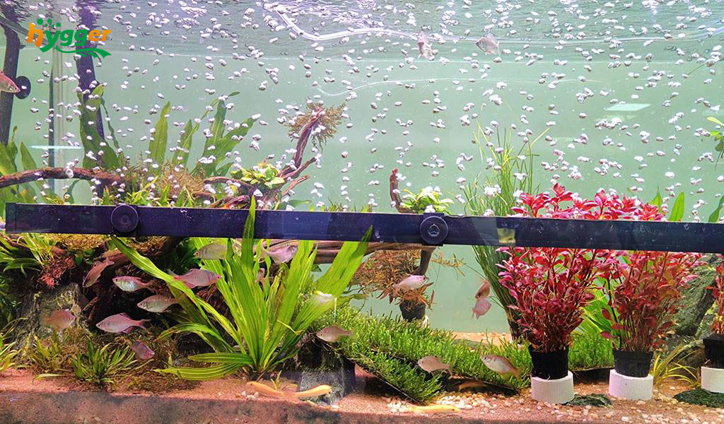 Bubble curtain aquarium online