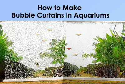 How to Make Bubble Curtains in Aquariums