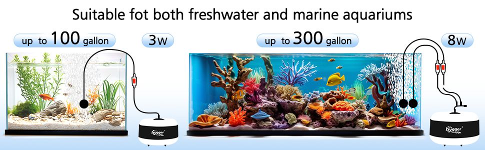 Air pump for freshwater and marine aquariums