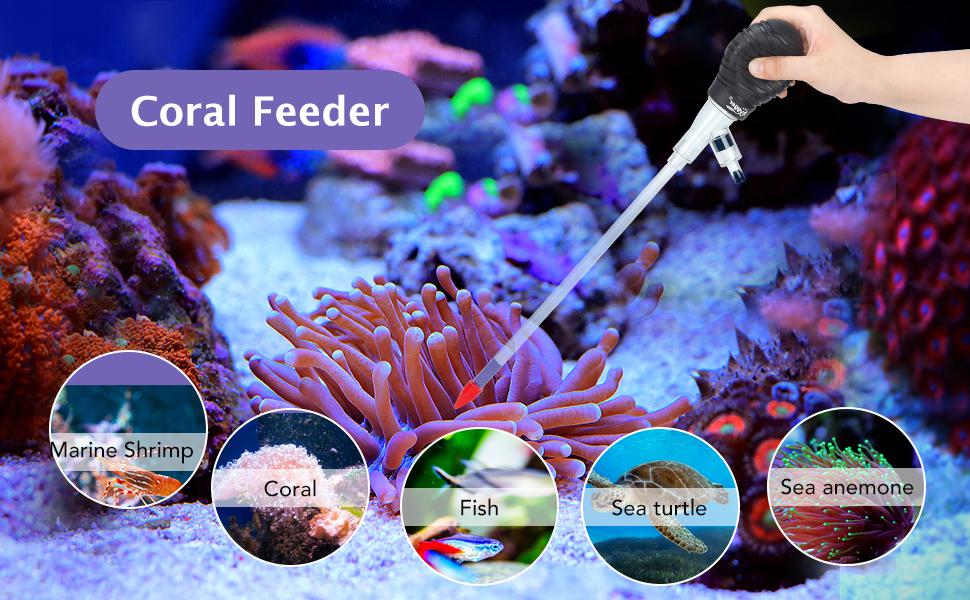 Aquarium coral feeder