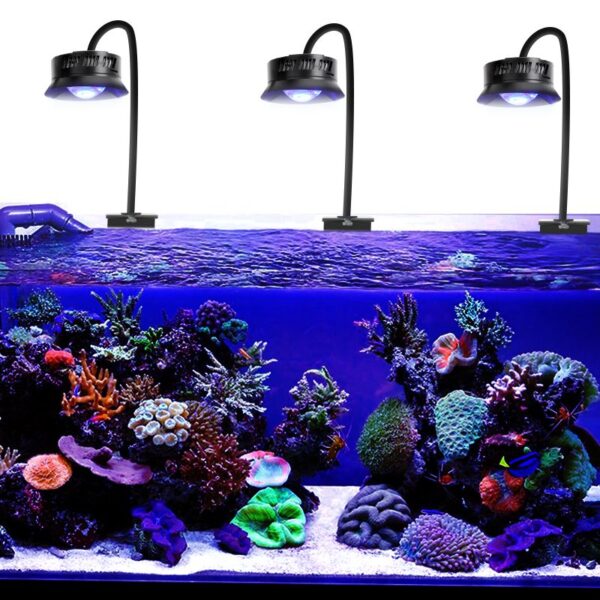 Full spectrum marine lighting