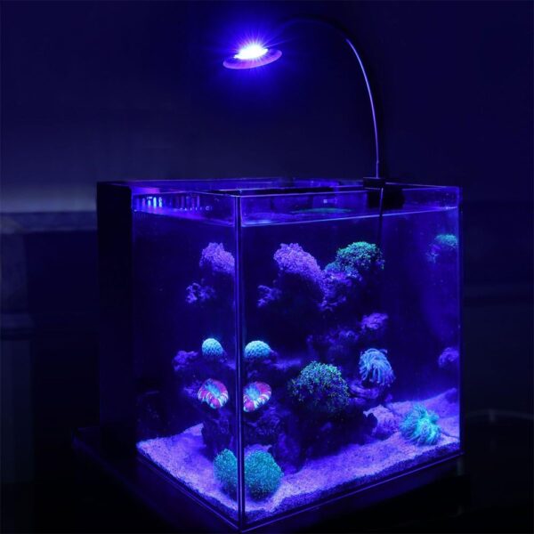 Saltwater aquarium light