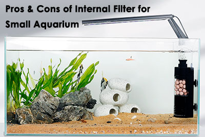 Pros & Cons of Internal Filter for Small Aquarium - hygger