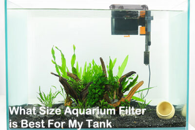 What Size Aquarium Filter is Best For My Tank