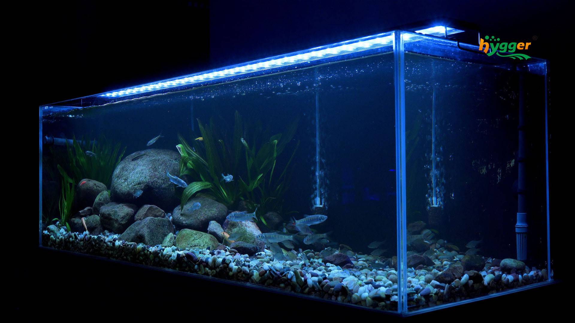 Aquarium Electrical Safety Tips