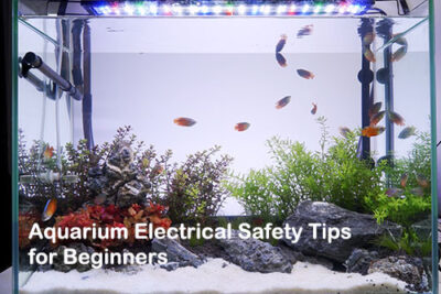 Aquarium Electrical Safety Tips for Beginners