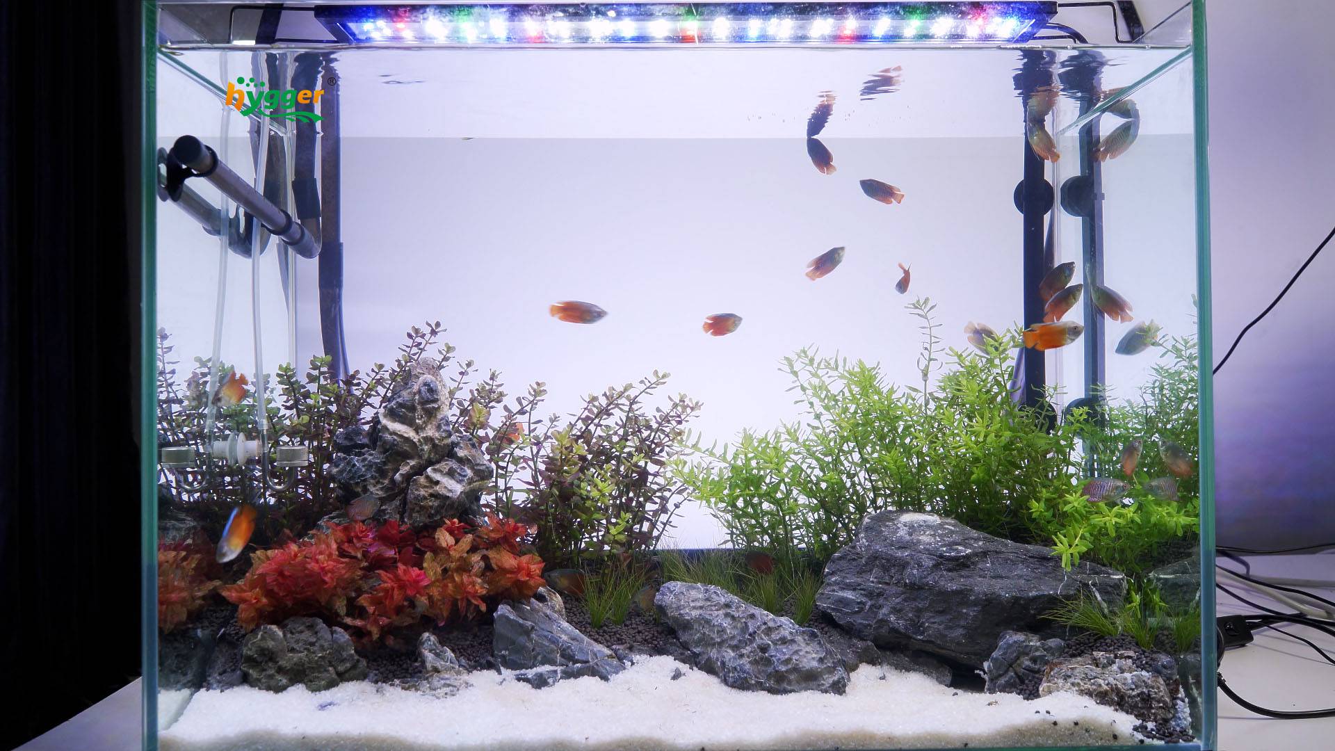 Basic aquarium safety