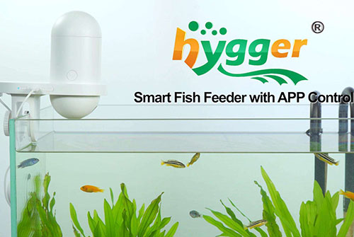 smart fish feeder video