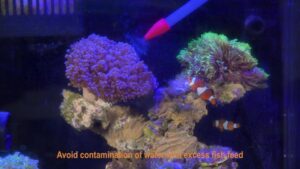 hygger Siphon Coral Feeder Kit Video