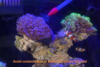 hygger 080 Aquarium Siphon Coral Feeder Kit Video